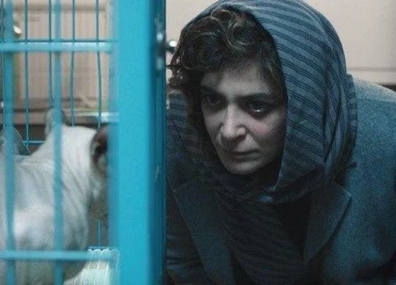 10-otimos-filmes-que-exploram-os-limites-do-ser-humano