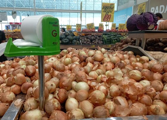 ipca-15:-veja-maiores-altas-e-quedas-em-dezembro-e-no-ano-de-2022