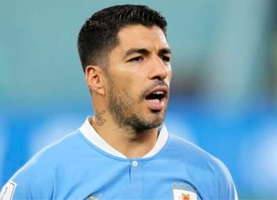 exclusivo!-descobrimos-quanto-o-gremio-pagara-em-salarios-a-suarez,-caso-feche-negocio