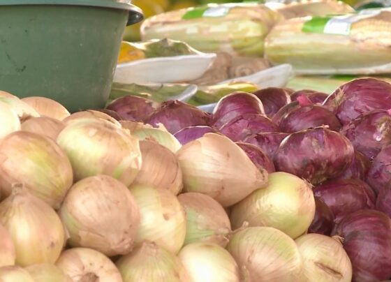 por-que-o-preco-da-cebola-disparou-em-2022