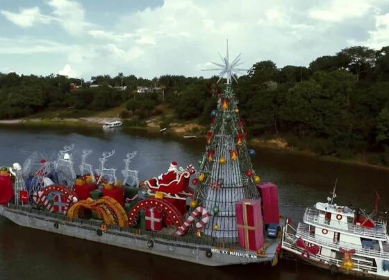 veja-os-destaques-do-globo-rural-deste-domingo-(25/12/2022)