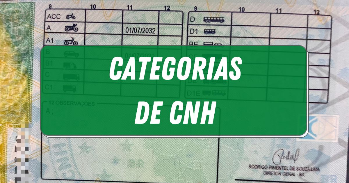 Novas categorias da CNH: confira o que elas, de fato, significam