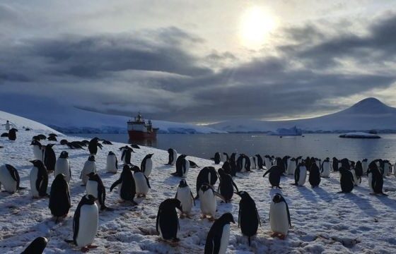 como-e-passar-o-natal-na-antartica