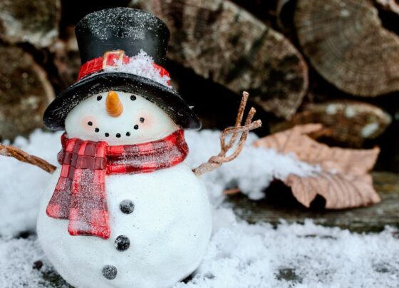descubra-qual-e-a-origem-e-quem-fez-o-primeiro-boneco-de-neve-do-mundo