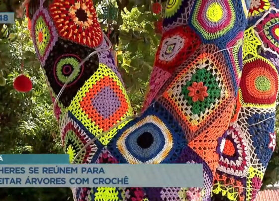 grupo-de-mulheres-se-reunem-para-enfeitar-arvores-com-croche