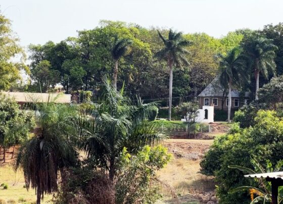 fazenda-tem-atividades-voltadas-para-projetos-assistenciais-no-interior-de-sp