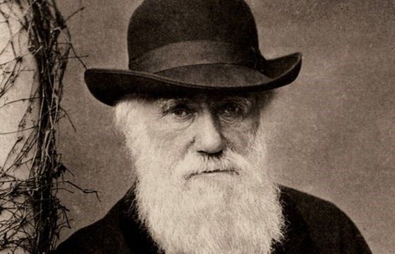 a-visao-de-charles-darwin-sobre-os-escravizados-no-brasil:-‘serao,-no-fim-das-contas,-os-governantes’
