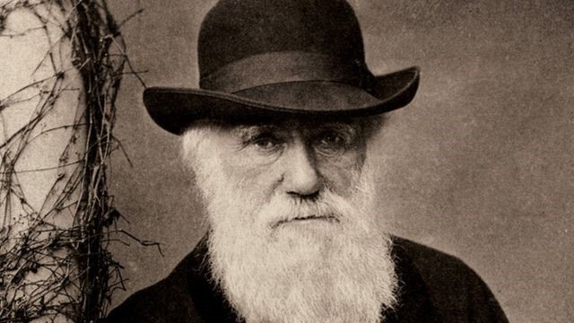 A visão de Charles Darwin sobre os escravizados no Brasil: ‘Serão, no fim das contas, os governantes’
