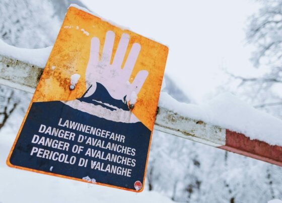 dez-pessoas-ficam-soterradas-por-avalanche-de-neve-em-pista-de-esqui-na-austra