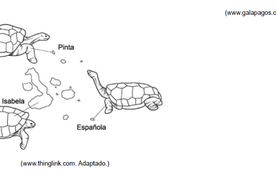 questao-resolvida-sobre-evidencias-evolutivas,-da-uninove