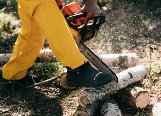 tem-que-ter-coragem:-confira-as-7-profissoes-mais-perigosas-do-mundo