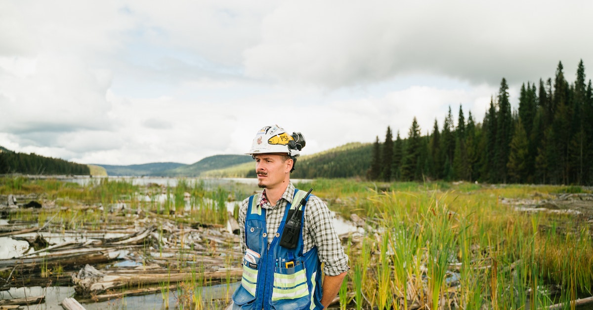 7 profissões que ganham bem e são ligadas a plantas e meio ambiente