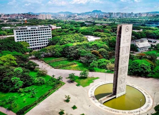 retrospectiva:-veja-quais-foram-as-10-melhores-universidades-do-brasil-em-2022