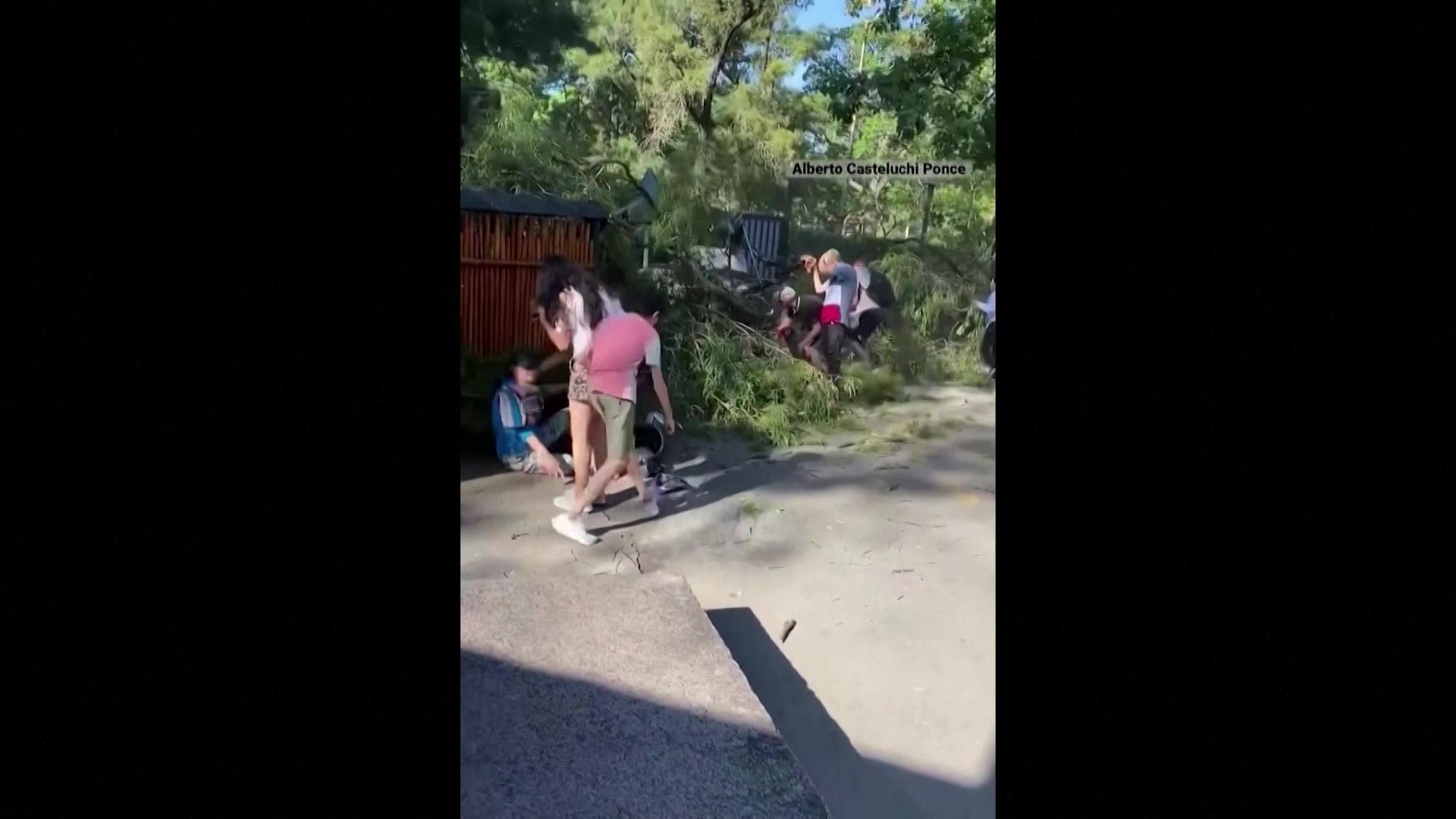 VÍDEO: Galho de árvore cai e deixa duas pessoas feridas em parque na Argentina