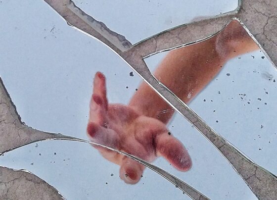 da-azar:-descarte-estes-7-objetos-de-sua-casa-antes-do-ano-novo