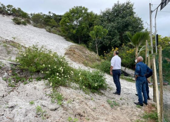 ampliacao-do-sis-sedur,-acoes-ambientais-e-inovacao-marcam-atuacao-da-sedur-em-2022