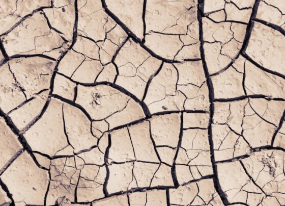 nivel-de-agua-baixa-e-deixa-a-mostra-cidades-e-objetos-que-estavam-submersos