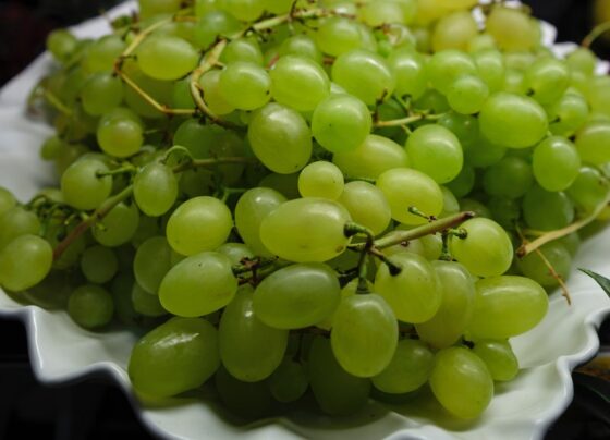12-uvas-no-ano-novo:-confira-a-origem-do-ritual-e-o-seu-significado