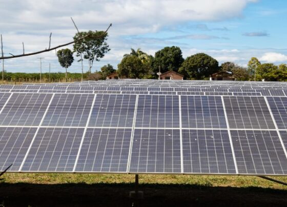 minas-gerais-e-o-primeiro-estado-a-bater-a-marca-de-4-gw-de-geracao-solar