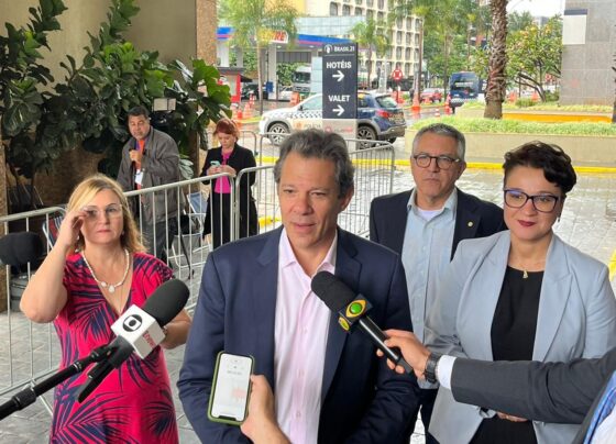 quem-e-rita-serrano,-indicada-por-haddad-para-assumir-presidencia-da-caixa