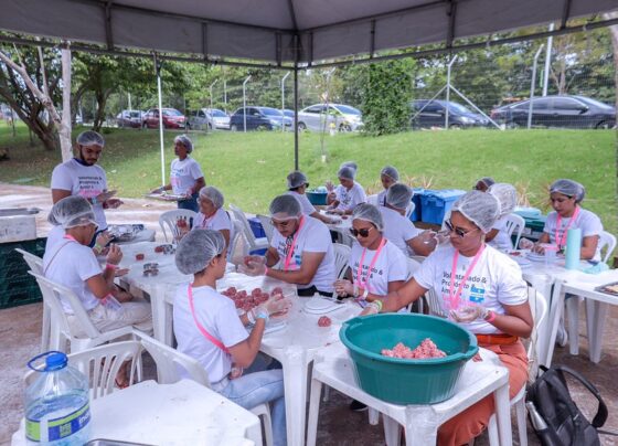 mais-de-60-mil-pessoas-visitaram-o-horto-florestal-em-2022