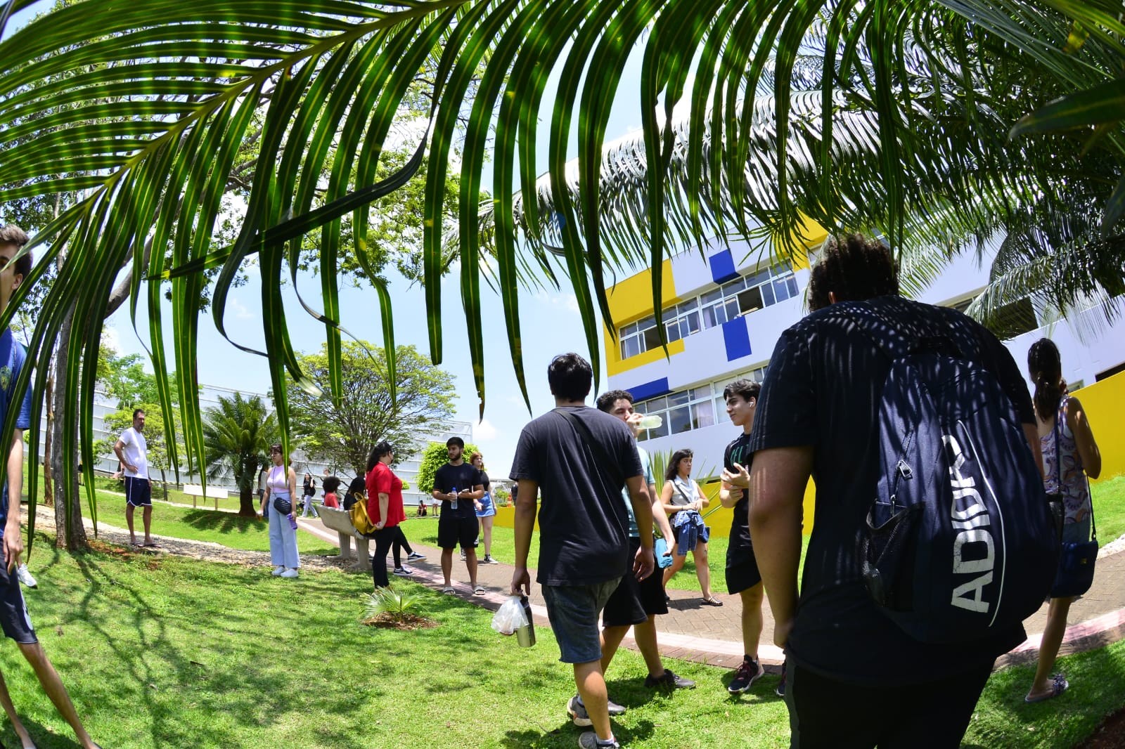 Unicamp 2023: 2ª fase do vestibular termina com matemática e conhecimentos específicos