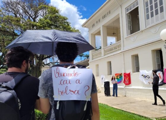 capes-tem-recursos-devolvidos-e-promete-pagar-bolsas-de-pesquisadores-ate-terca-(13)