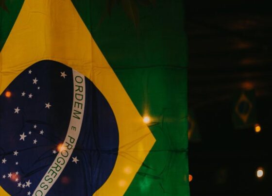 o-sumico-da-bandeira
