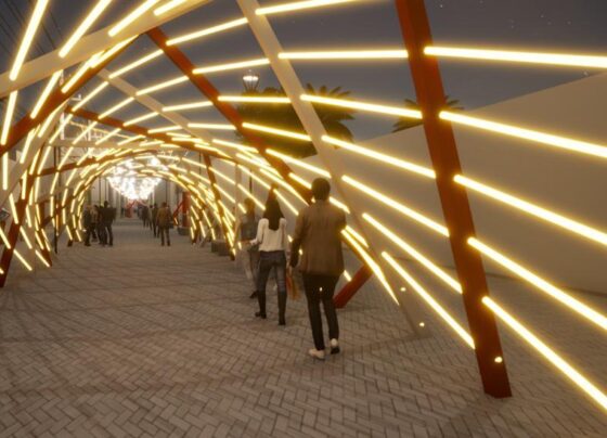 decoracao-natalina-no-centro-de-feira-tem-tunel-de-led-e-arvore-de-9-metros