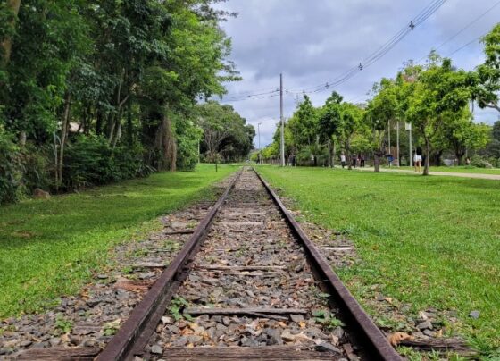 revitalizacao-da-linha-ferrea-na-ufv-e-parte-do-centro-de-vicosa-sera-licitada-nesta-sexta-(9)