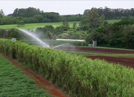 sitio-volta-a-lucrar-apos-investir-em-tecnologias-de-reuso-da-agua