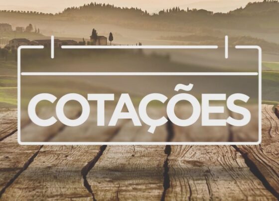 preco-da-batata-doce-cai,-e-tomate-fica-mais-caro-para-consumidores-no-parana