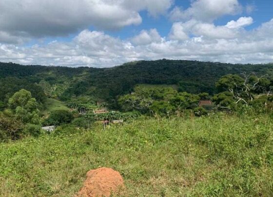 instalacao-de-torres-de-telefonia-nas-zonas-rurais-do-municipio-e-tema-de-reuniao