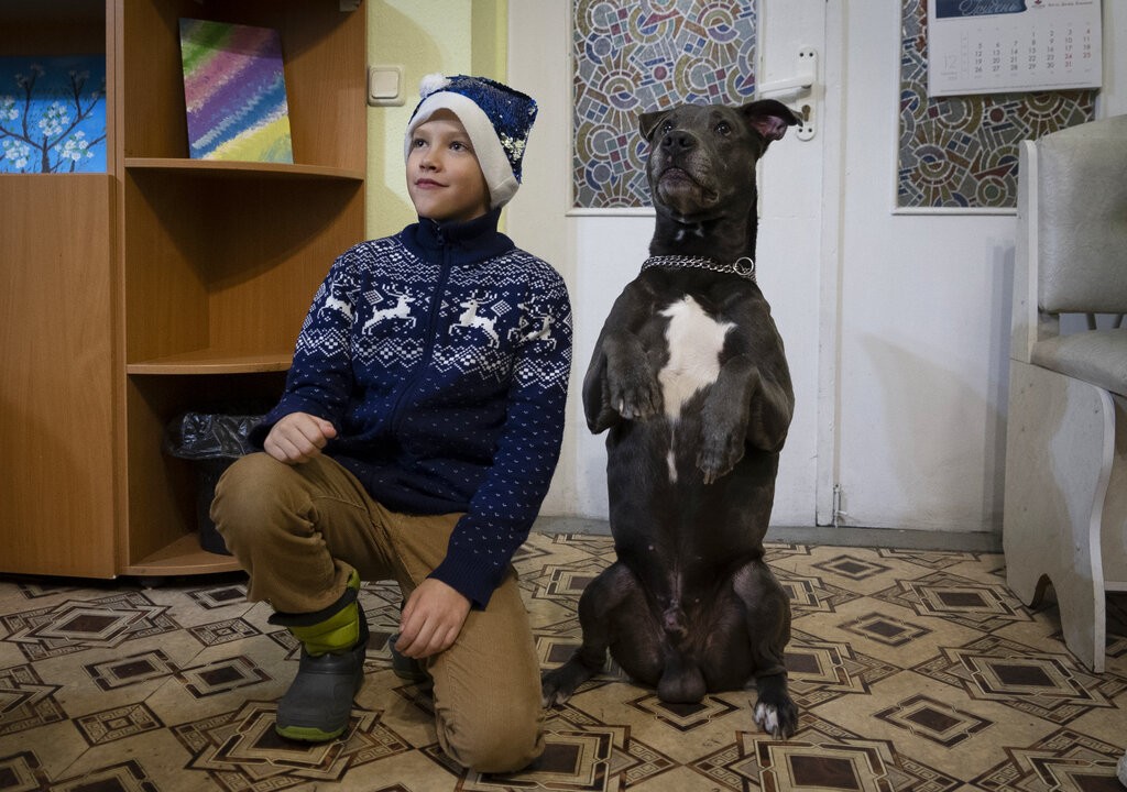 Bice, o pitbull que ajuda crianças a lidarem com traumas da guerra na Ucrânia
