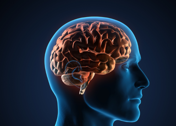 e-possivel-potencializar-funcoes-cerebrais-com-a-vitamina-d