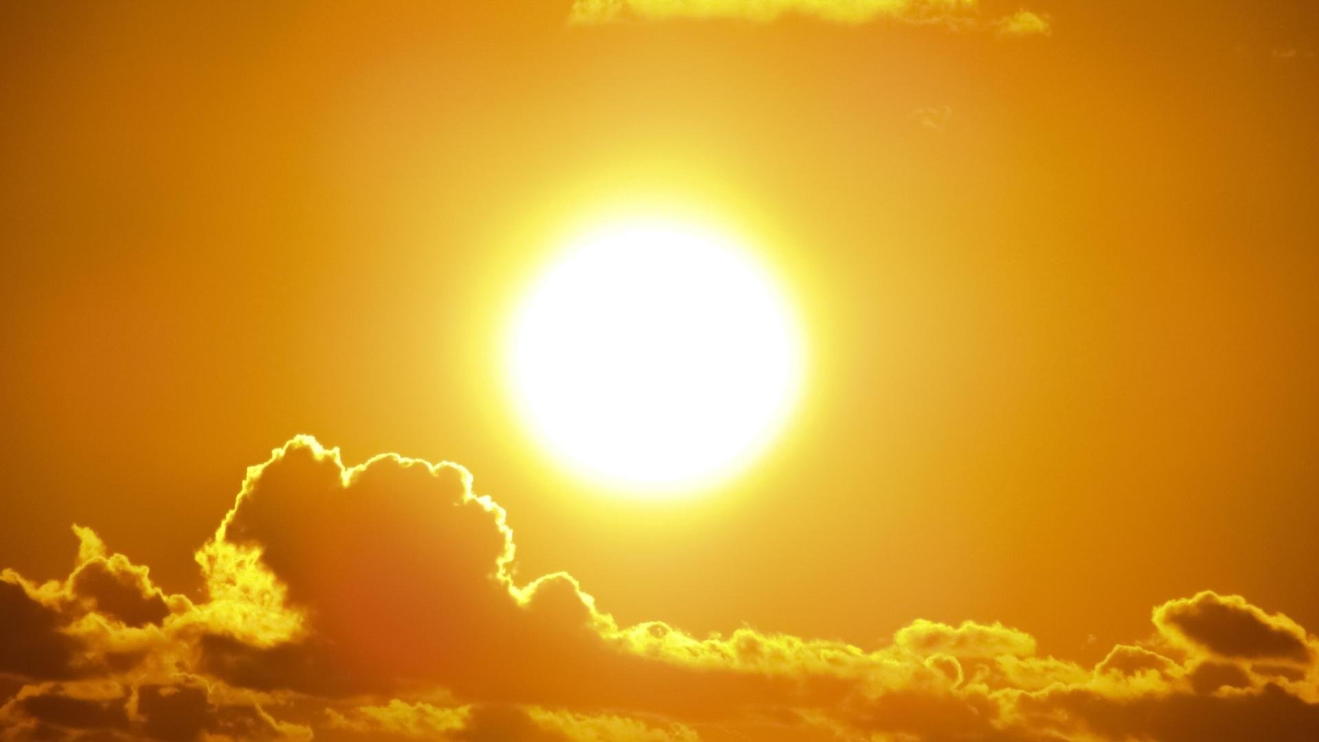Como evitar a falta de vitamina D no organismo
