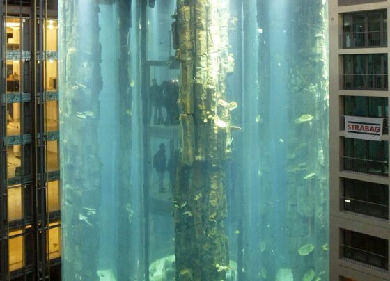 veja-como-era-o-aquario-em-berlim-antes-dele-estourar