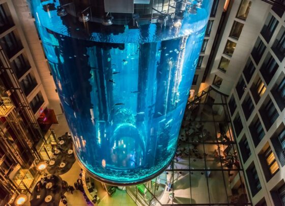 aquario-que-estourou-em-berlim-foi-cenario-de-filme-brasileiro-com-wagner-moura-e-jesuita-barbosa;-veja-trecho