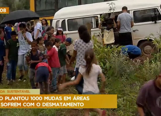 jornada-sustentavel-planta-mais-de-mil-mudas-de-plantas-em-sao-sebastiao-(df)