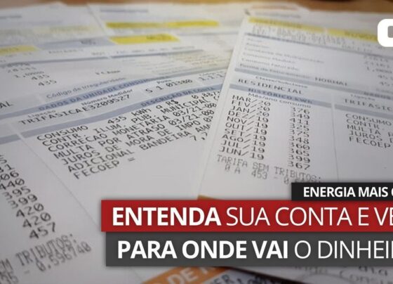 frente-de-consumidores-vai-pedir-ao-governo-eleito-que-uniao-pague-subsidios-no-setor-eletrico