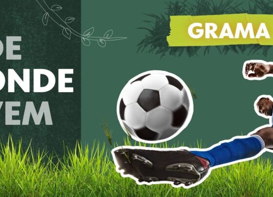 de-onde-vem-a-grama:-da-fazenda-ao-morumbi,-g1-revela-cuidados-para-se-ter-os-melhores-‘tapetes’-do-futebol