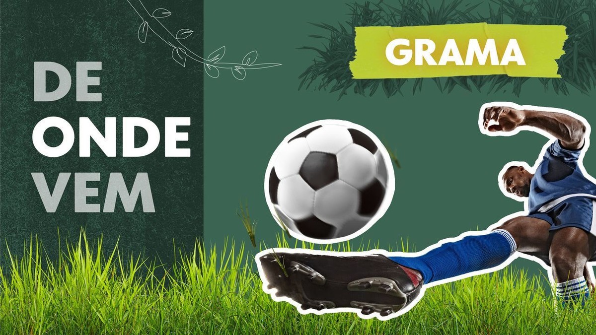 De onde vem a grama: da fazenda ao Morumbi, g1 revela cuidados para se ter os melhores ‘tapetes’ do futebol