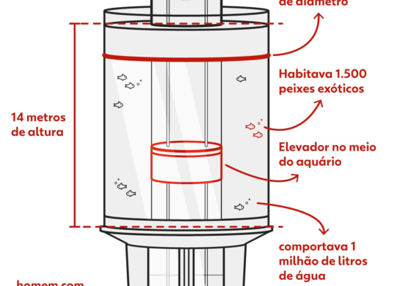 peixes-como-‘papel-de-parede’,-:-conheca-as-polemicas-do-aquario-gigante-que-estourou-em-berlim
