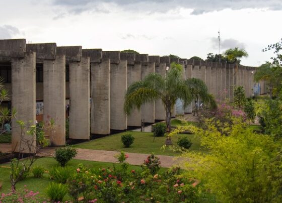 unb-diz-que-governo-federal-liberou-verbas-bloqueadas