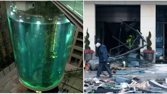 video:-arquiteto-de-aquario-que-estourou-em-berlim-garantiu-em-2003-que-vidro-nao-romperia