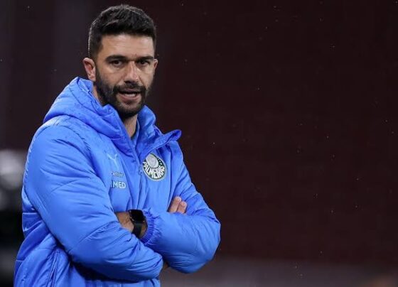 voce-nao-pode-perder-essa-final-do-palmeiras-nesta-semana