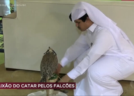 conheca-a-maior-competicao-esportiva-do-catar