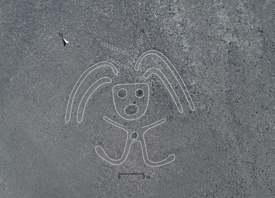 mais-de-100-novos-geoglifos-achados-no-peru-ajudam-a-esclarecer-distribuicao-das-linhas-de-nazca