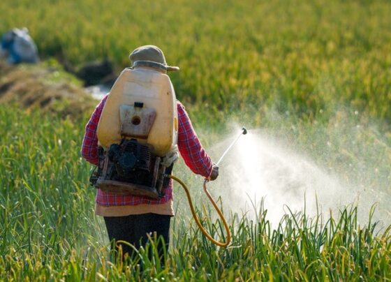 comissao-de-agricultura-do-senado-aprova-projeto-que-facilita-liberacao-de-agrotoxicos