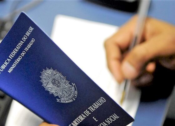 veja-as-vagas-de-emprego-disponiveis-em-petrolina-e-salgueiro-nesta-terca-feira-(20)